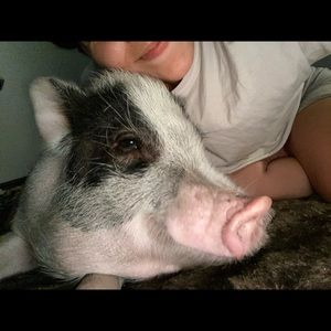 Meet your Posher, Sky